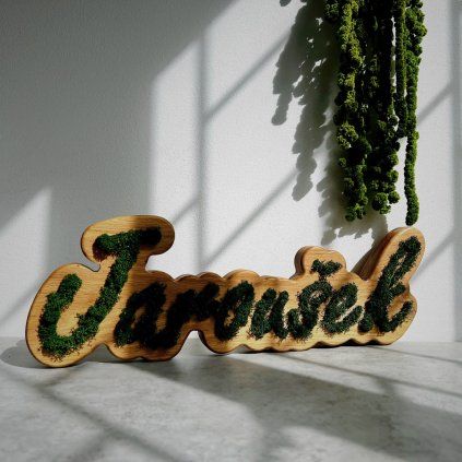 Custom Oak Name Sign with Colorful Stabilized Moss