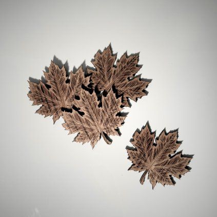 Set of 4 Maple Leaf Oak Veneered Coasters