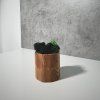 Oak & Ash Wood Planter with Preserved Moss