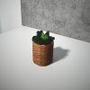 Oak & Ash Wood Planter with Preserved Moss