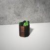 Oak & Ash Wood Planter with Preserved Moss