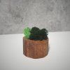 Oak & Ash Wood Planter with Preserved Moss