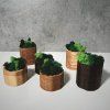Oak & Ash Wood Planter with Preserved Moss