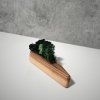 Triangular Wooden Moss Planter