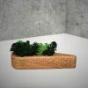 Triangular Wooden Moss Planter