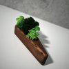 Triangular Wooden Moss Planter
