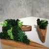 Triangular Wooden Moss Planter