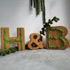 Custom Oak Name Sign with Colorful Stabilized Moss