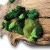 Design Reclaimed Oak Wood Wall Clock with Stabilized Moss