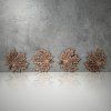 Set of 4 Maple Leaf Oak Veneered Coasters