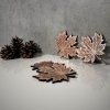 Set of 4 Maple Leaf Oak Veneered Coasters