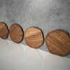 Set of 4 Oak Veneer Tree Ring Coasters