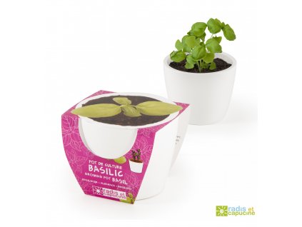 Mini zahrádka - Mini květináč Ceramic s bazalkou
