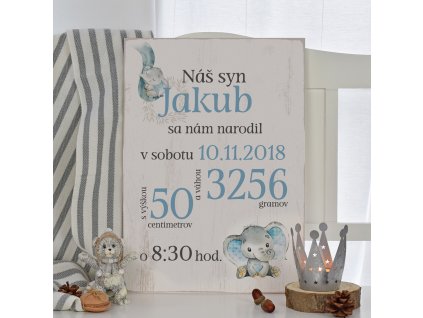 Dětská cedulka - Můj první den (kluk) SK