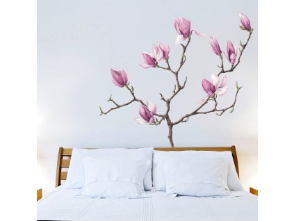Magnolia