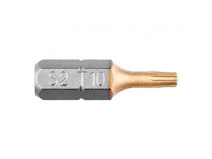 Bity Torx TX10 x 25 mm, 2 ks | GRAPHITE 57H971