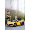 260585 33 toyz sportovy automobil na aku lamborghini ruzove