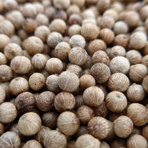 real-kampot-bird-pepper