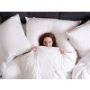 High Standard Kategorie