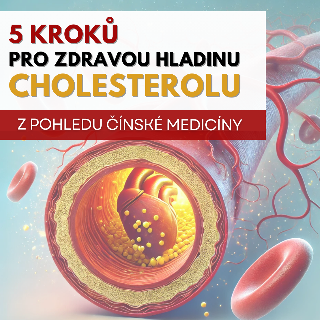 Cholesterol z hlediska TČM: 5 kroků k zdravé hladině cholesterolu!