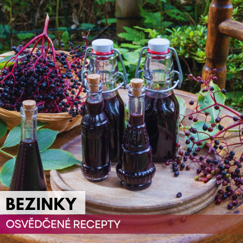 Recept na bezinkový sirup a originální bezinkový likér s kávou