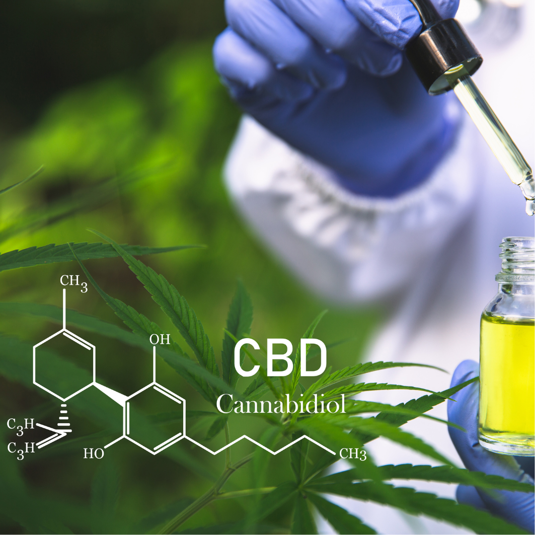 CBD: Přínosy pro tělo i mysl