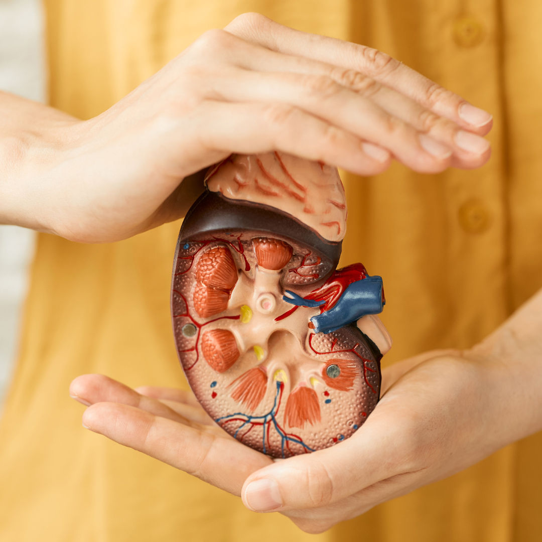 Jak pečovat o ledviny podle tradiční čínské medicíny (TČM)