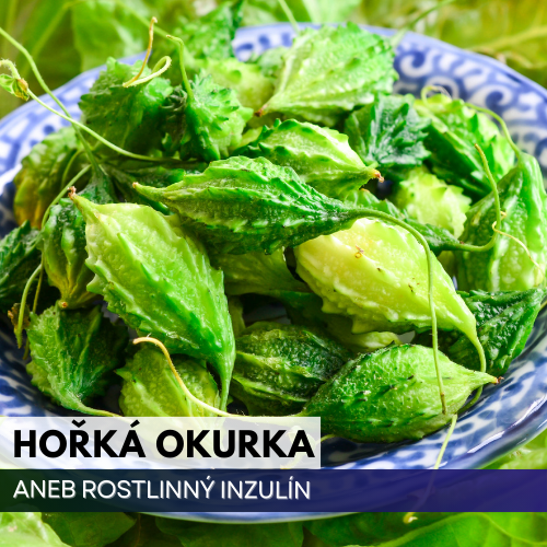 Hořká okurka (Momordica charantia) – rostlinný inzulin