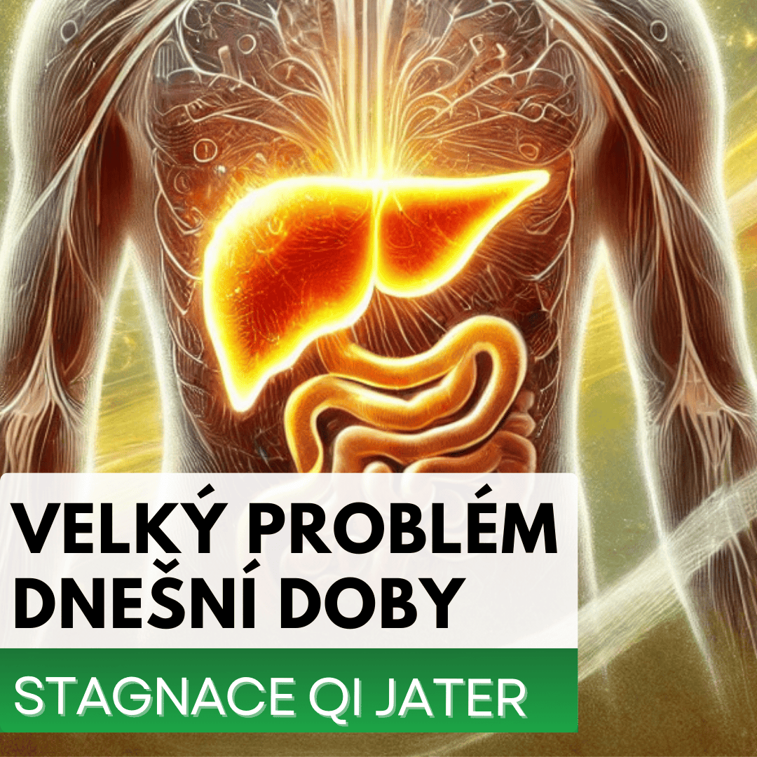 Stagnace Qi jater - problém dnešní doby!