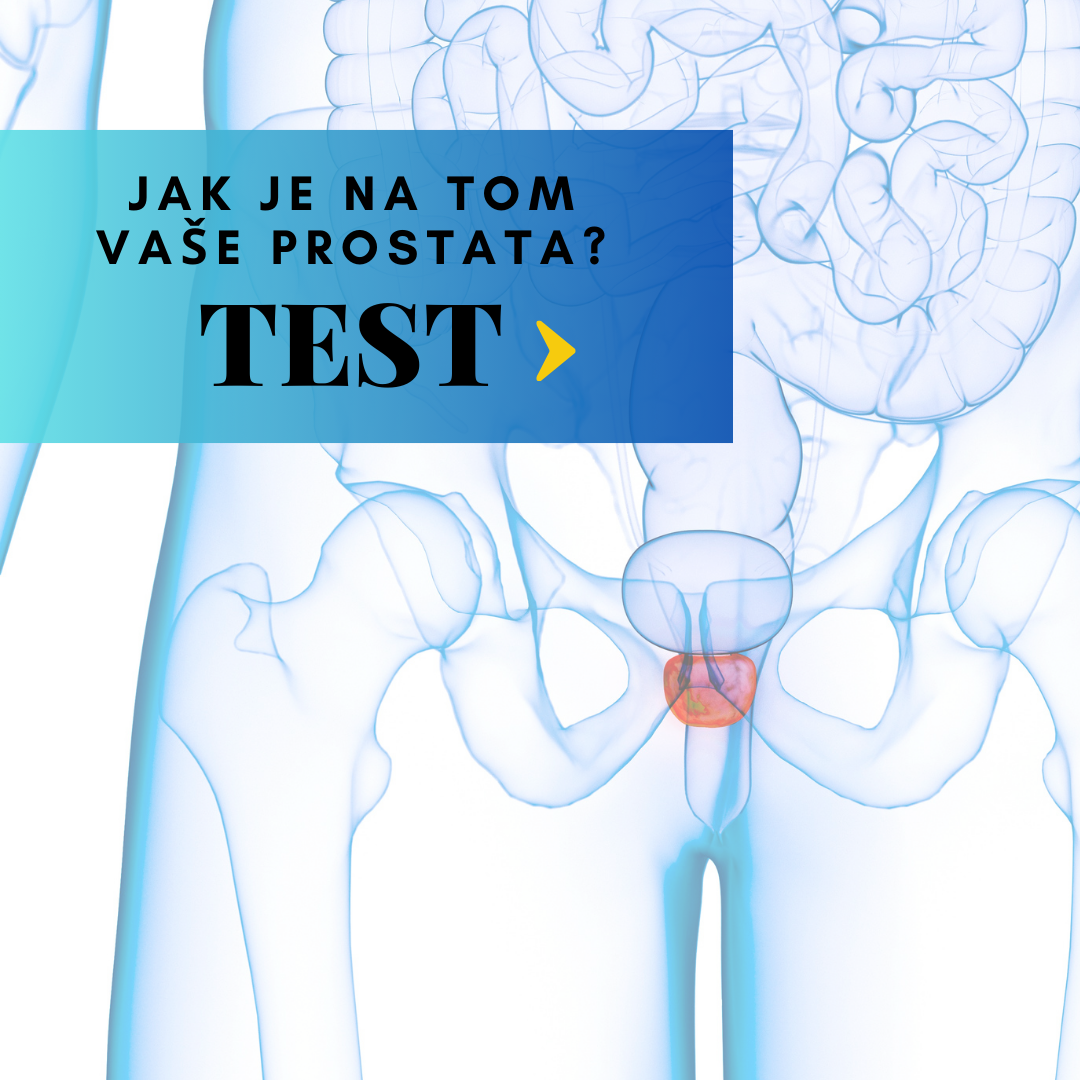 Test: Jak je na tom vaše prostata podle TČM?