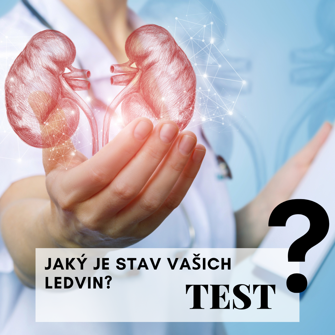 Test: Fungují Vaše ledviny správně?