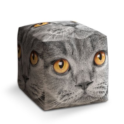 Taburet Cube kočičí pohled, šedá