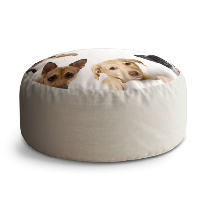 Taburet Circle štěňátka a koťátka, béžová
