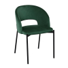 Jídelní židle Rao, zelená / černá