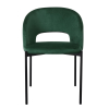 Jídelní židle Rao, zelená / černá