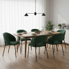 Jídelní židle Rao, zelená / černá