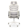 Kancelářská židle Fidato II, šedá / bílá