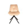 Jídelní židle Boogie, béžová / černá