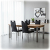 Jídelní židle Coreon, černá / stříbrná