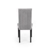 Jídelní židle Diego 2, šedá / černá