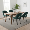 Jídelní židle Gema, zelená / černá