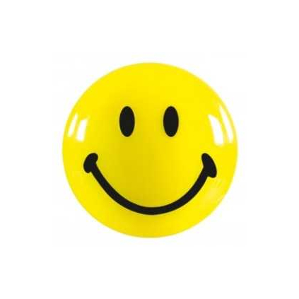 Magnety Magnetoplan Smile 20 mm - 8 ks, žltá