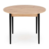 Jedálenský stôl Darren, dub artisan / čierna