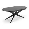Jedálenský stôl Davis, čierna