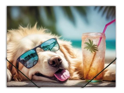 Doska s gumičkou, 15 mm, PP, A4, PANTA PLAST, "Chillout dog"