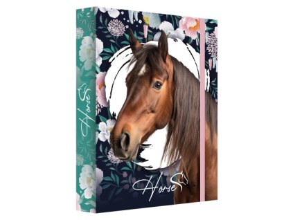 Box na zošity A4 Jumbo MAX - Horse