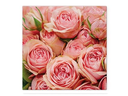 Obrúsky TaT 33x33cm Lots of Roses