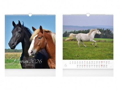 Kalendár 2026 nástenný malý Horses