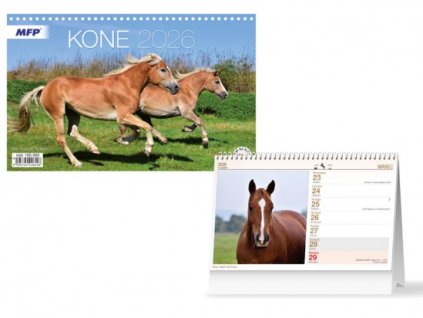 SK Kalendár 2026 stolový Kone
