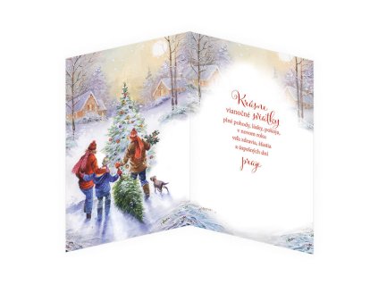 Vianočný pozdrav 3D